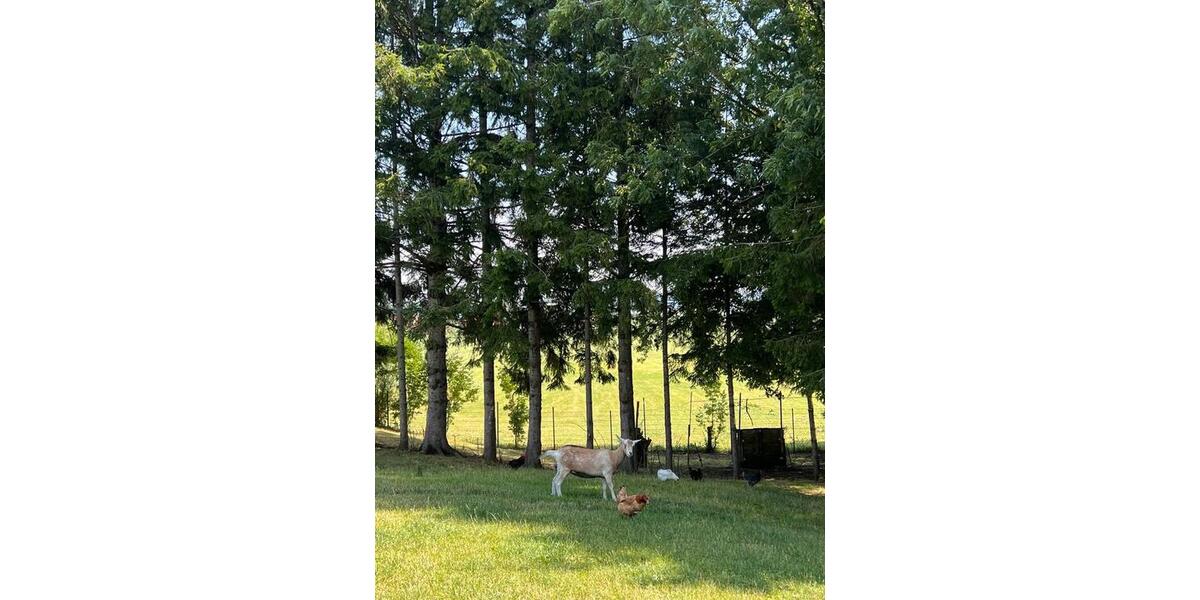 Untermiete Dietmannsried ab 01.01.2026 2 zimmer