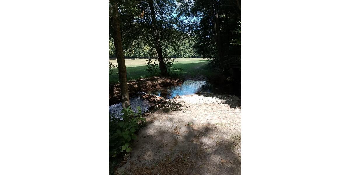 Etagenwohnung Burkardroth - 4 Zimmer, 126 m&sup2;, 60&euro; | Angebot:25636562