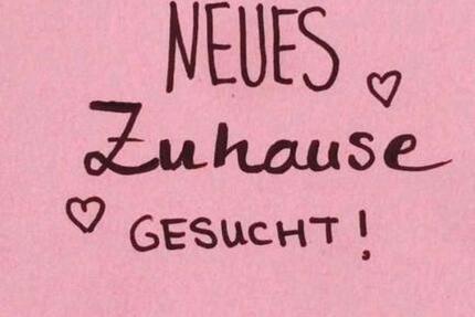 Wohnung Seesen - 4 Zimmer, 700&euro; | Angebot:22578782