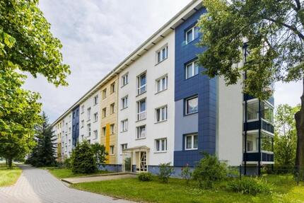Zentrumsnahe 3-Raumwohnung mit Balkon zimmer