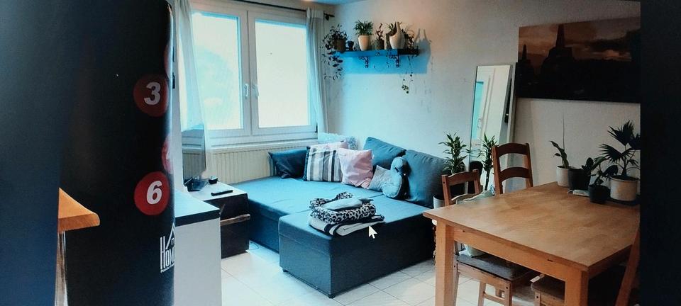 Wohnen auf Zeit Offenburg Rammersweier - 1 Zimmer, 45 m&sup2;, 500&euro; | Angebot:25957641