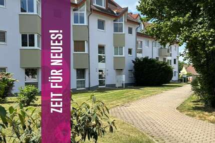 Wohnung Salzatal - 2 Zimmer, 49 m&sup2;, 330&euro; | Angebot:27014682