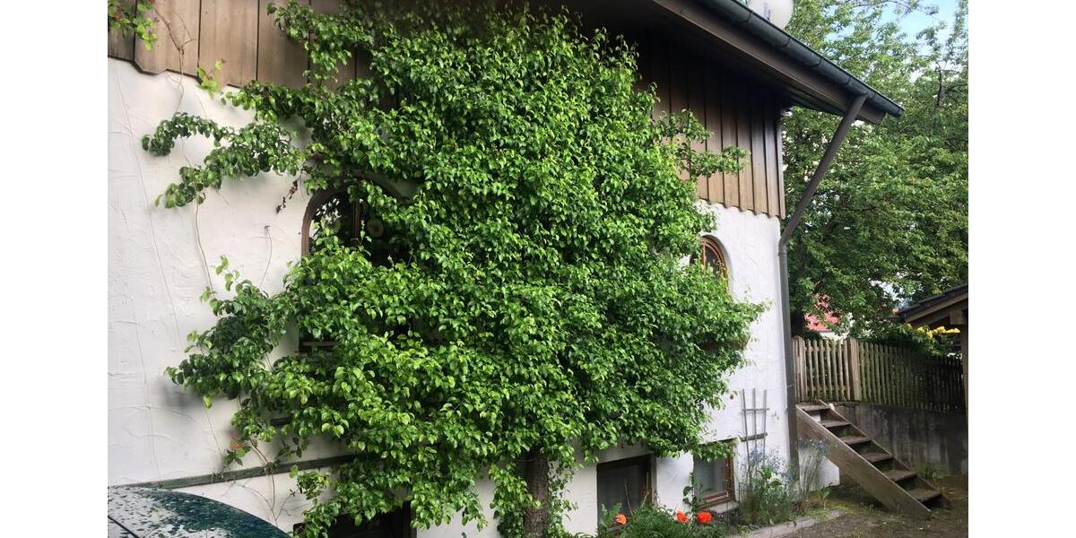 Erdgeschoßwohnung Dietfurt an der Altmühl - 5 Zimmer, 183 m&sup2;, 1.250&euro; | Angebot:26702067