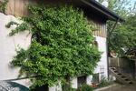 Erdgeschoßwohnung Dietfurt an der Altmühl - 5 Zimmer, 183 m&sup2;, 1.250&euro; | Angebot:26702067