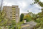 Ihre Zukunft - Ihre Wohnung: praktische 2-Zimmer-Wohnung zimmer