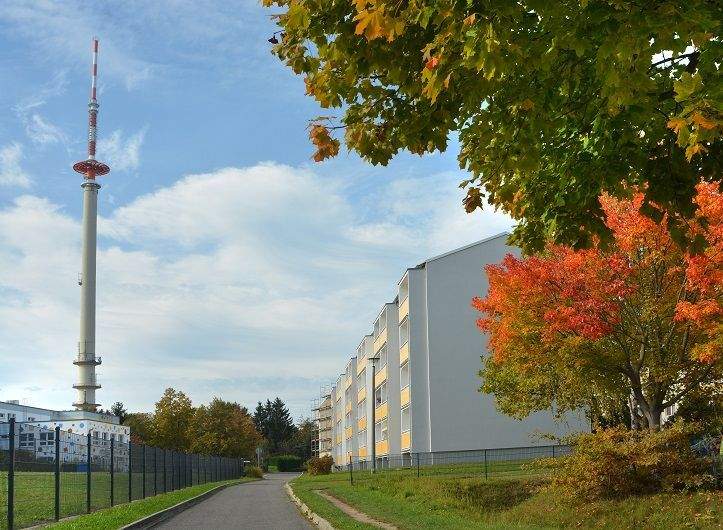 Etagenwohnung Calau - 3 Zimmer, 60 m&sup2;, 363&euro; | Angebot:25748438