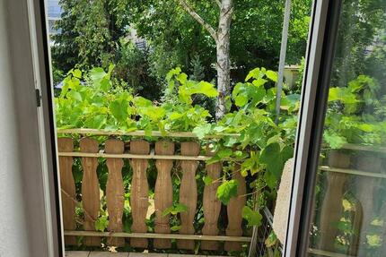 Altbauwohnung 2ZKB + EBK + Stellplatz + Balkon in Uninähe 2 zimmer