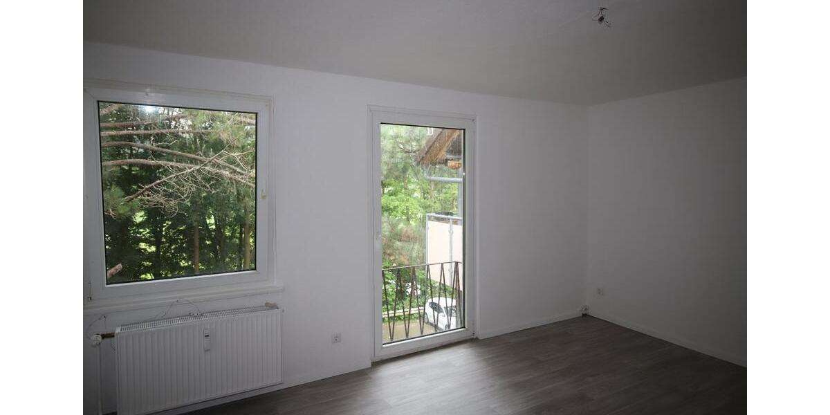 Erdgeschoßwohnung Alfeld (Leine) - 2 Zimmer, 46 m&sup2;, 270&euro; | Angebot:24729425