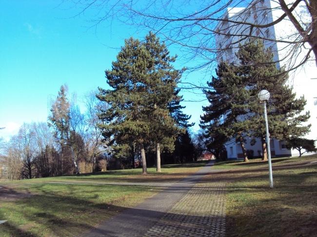 Etagenwohnung Bad Kreuznach Bad Münster am Stein-Ebernburg - 1 Zimmer, 35 m&sup2;, 385&euro; | Angebot:26477136