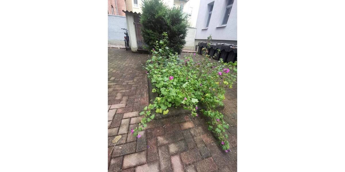 Etagenwohnung Eilenburg - 3 Zimmer, 76 m&sup2;, 623&euro; | Angebot:25684486