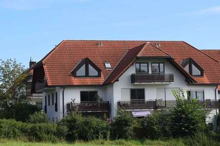 Wohnung zum Mieten in Seifersdorf 580 € 61.1 m² 2 zimmer