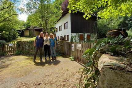 Wohnen auf Zeit Trier Nord - 1 Zimmer, 20 m&sup2;, 350&euro; | Angebot:21871552