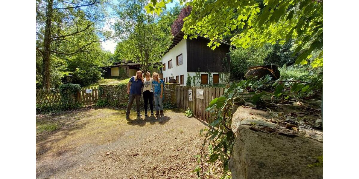 Wohnen auf Zeit Trier Nord - 1 Zimmer, 20 m&sup2;, 350&euro; | Angebot:21871552