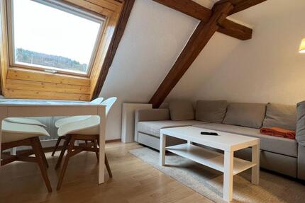 Wohnung Lenzkirch - 1.5 Zimmer, 29 m&sup2;, 375&euro; | Angebot:25420986