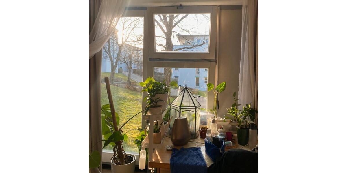 Erdgeschoßwohnung Stuttgart Vaihingen - 1 Zimmer, 12 m&sup2;, 376&euro; | Angebot:26588270