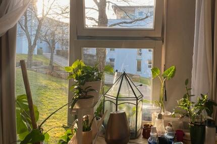Wohnung Stuttgart Vaihingen - 1 Zimmer, 12 m&sup2;, 376&euro; | Angebot:26588270