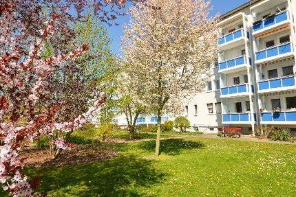Wohnung Riesa Neuweida - 2 Zimmer, 39 m&sup2;, 250&euro; | Angebot:26656318