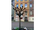 Gewerbeobjekt Sankt Goar St Goar - 218&euro; | Angebot:25732846