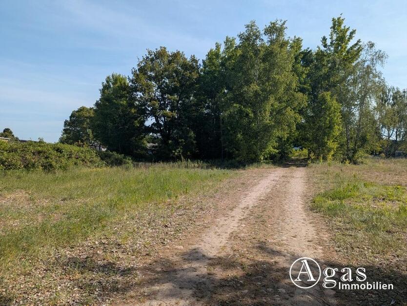 großzügiges Grundstück nahe der Altstadt in Brandenburg an der Havel zimmer