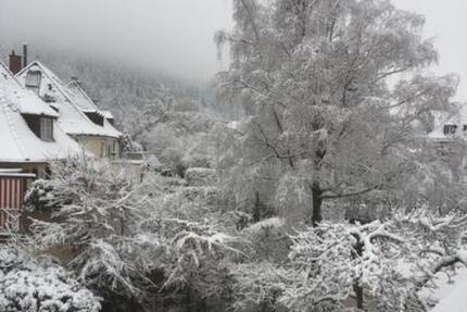 Zimmer 1,5 möbliert, mit Balkon- in Bestlage 1 zimmer