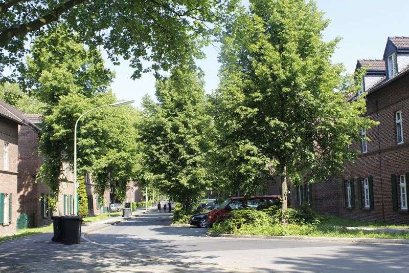 Etagenwohnung Gelsenkirchen Horst - 2.5 Zimmer, 55 m&sup2;, 333&euro; | Angebot:26906815