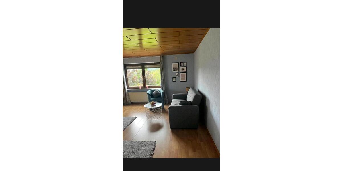 Terrassenwohnung Bad Bergzabern - 2 Zimmer, 65 m&sup2;, 1.100&euro; | Angebot:24659070