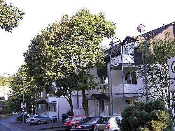 Wohnung zum Mieten in Siegen 380 € 42 m² 2 zimmer