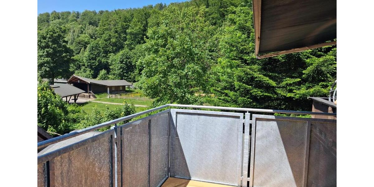 Balkonwhg in Wieda,2 Zi,Waldblick,am Bach,Blick ins Gruene 2 zimmer