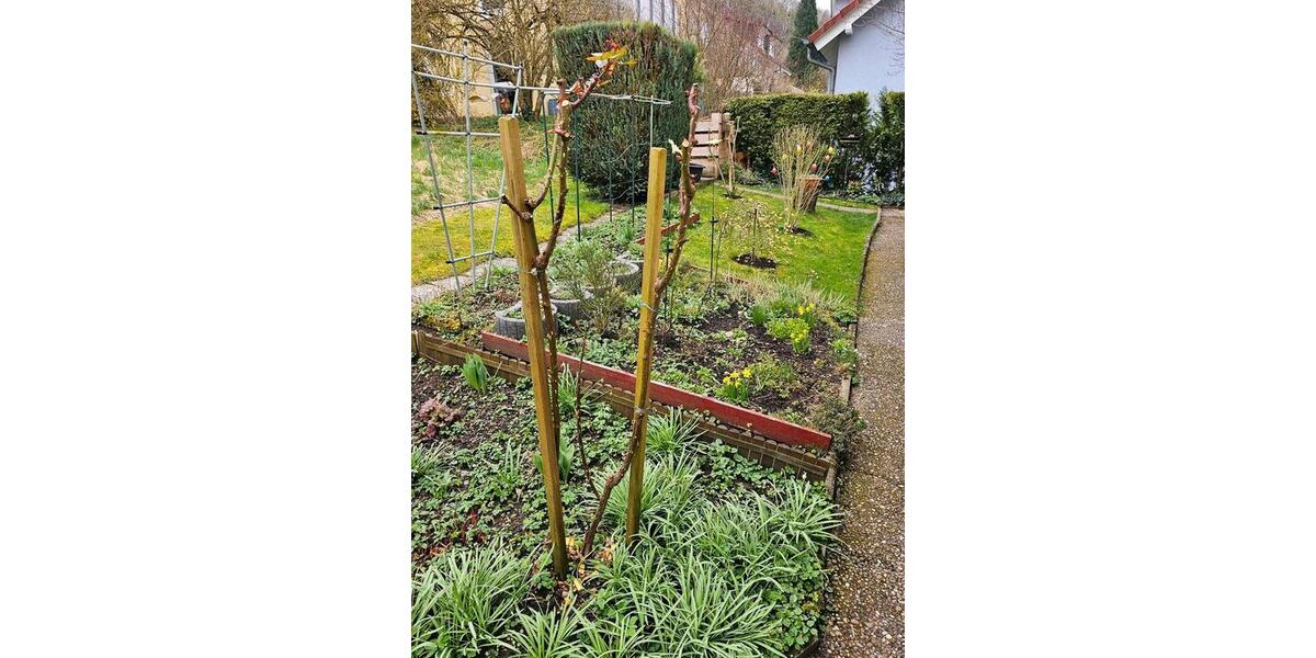 Wohnen auf Zeit Schwäbisch Hall - 1 Zimmer, 17 m&sup2;, 580&euro; | Angebot:25640777