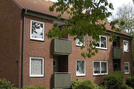 Wohnung zum Mieten in Hemmingstedt 490 € 44.08 m²