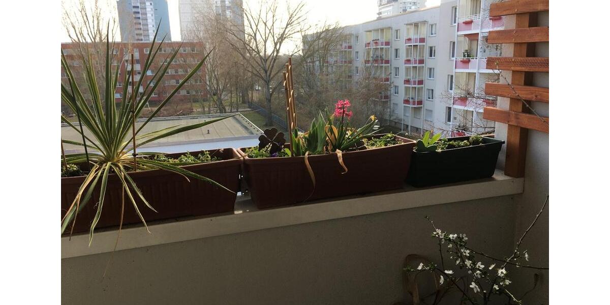 Wohnen auf Zeit Halle (Saale) Halle-Neustadt - 3 Zimmer, 57 m&sup2;, 595&euro; | Angebot:26582234
