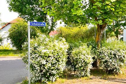 Wohnung Sandersdorf Zscherndorf - 2 Zimmer, 44 m&sup2;, 365&euro; | Angebot:26740584