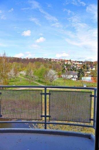 Etagenwohnung Döbeln Sörmitz - 2 Zimmer, 52 m&sup2;, 360&euro; | Angebot:25743305