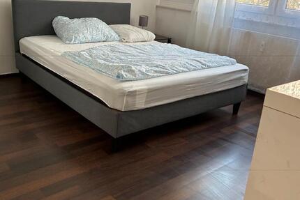 Wohnen auf Zeit Mannheim Sandhofen - 1 Zimmer, 15 m&sup2;, 560&euro; | Angebot:26502046