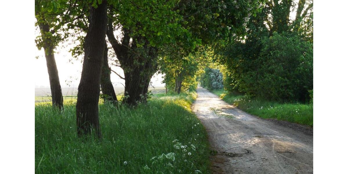 Wohnen auf Zeit Neuruppin - 3 Zimmer, 68 m&sup2;, 760&euro; | Angebot:25646803