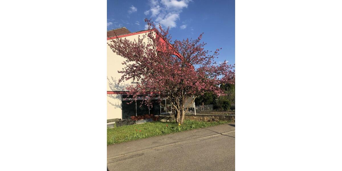 Etagenwohnung Bad Mergentheim - 1 Zimmer, 15 m&sup2;, 400&euro; | Angebot:21238756