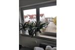 Etagenwohnung Möglingen - 1 Zimmer, 34 m&sup2;, 780&euro; | Angebot:26626689