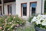 Wohnen auf Zeit Rühen - 1 Zimmer, 20 m&sup2;, 450&euro; | Angebot:26126870