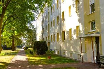 Wohnung Braunsbedra Neumark - 3 Zimmer, 60 m&sup2;, 357&euro; | Angebot:27644212