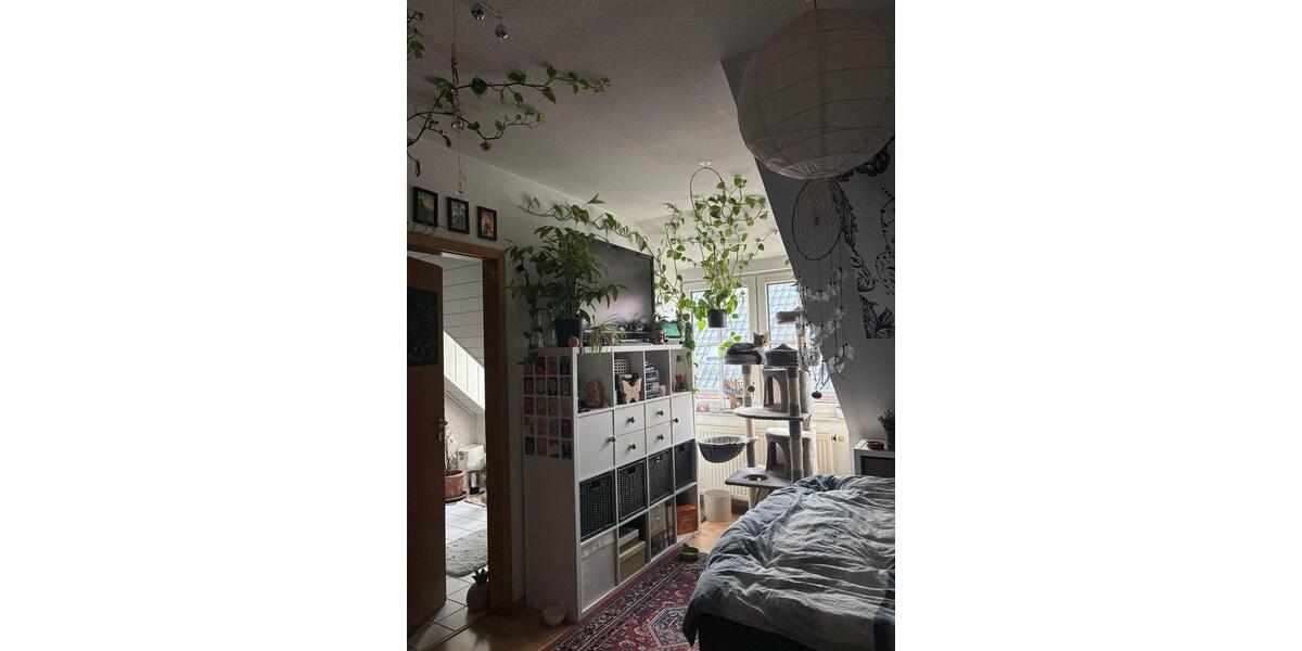 Attraktive, gepflegte 1-Zimmer-Dachgeschosswohnung in Rüthen 1 zimmer