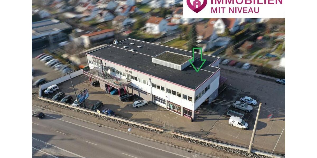 Gewerbeobjekt Lauingen (Donau) - 1.300&euro; | Angebot:24106897