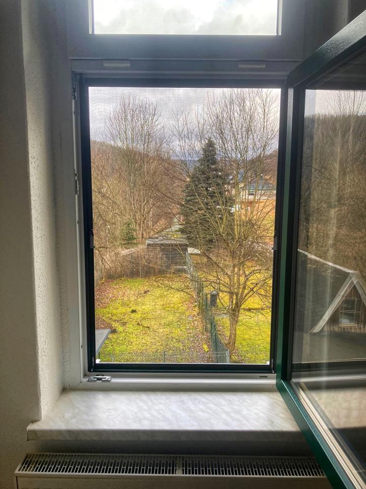 ++ einziehen & wohlfühlen - charmante 2-Raum-Wohnung - im wunderschönen Erzgebirge ++