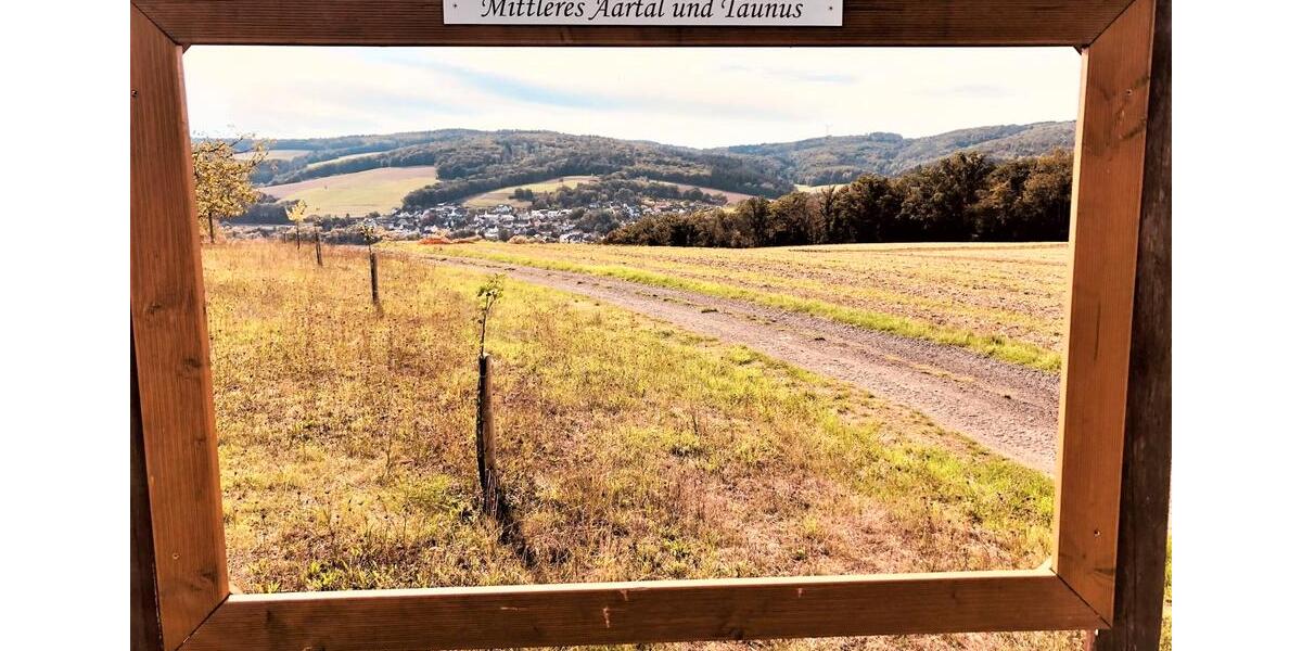 Etagenwohnung Gückingen - 2 Zimmer, 80 m&sup2;, 790&euro; | Angebot:26226533