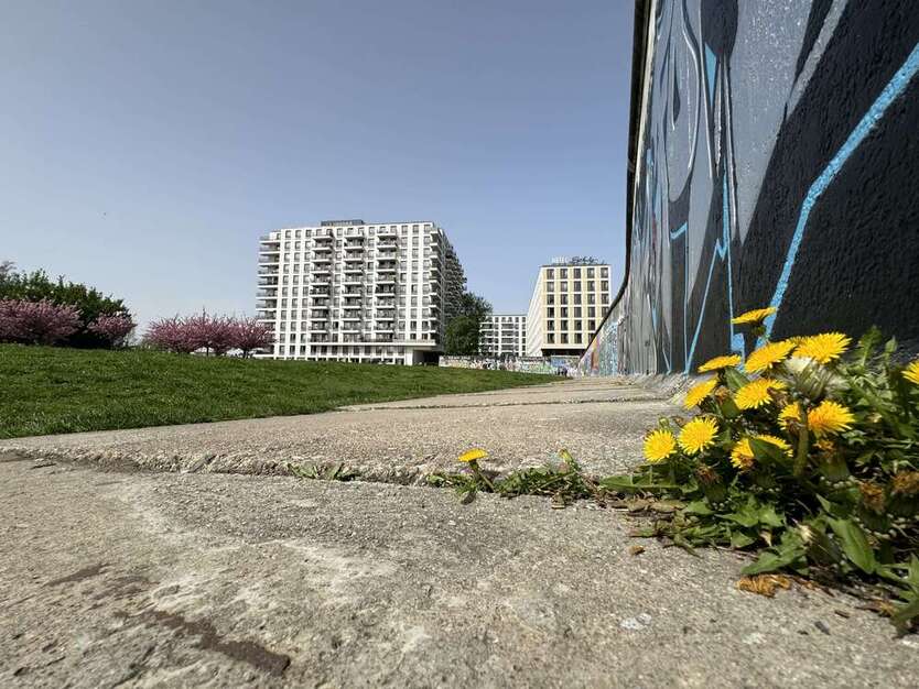 Wohnung zum Mieten in Berlin 1.534,52 € 61.36 m² 2 zimmer