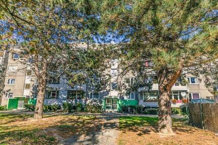 Wohnung Braunschweig Timmerlah-Geitelde-Stiddien - 3 Zimmer, 71 m&sup2;, 564&euro; | Angebot:27067186