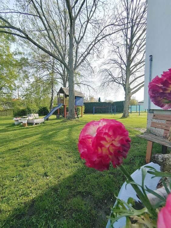 ++Singles und Paar aufgepasst: Schöne 2-Raumwohnung in ruhiger Lage++ 2 zimmer