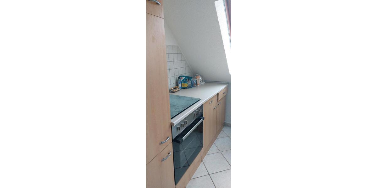 Dachgeschoßwohnung Cottbus Sachsendorf - 1 Zimmer, 36 m&sup2;, 420&euro; | Angebot:24455312