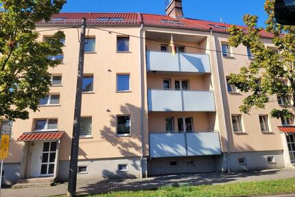 Helle gemütliche 1-Zimmerwohnung zimmer