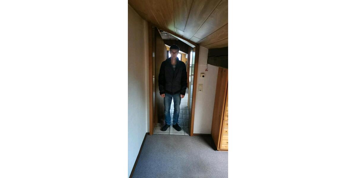 Dachgeschoßwohnung Weiskirchen - 1 Zimmer, 45 m&sup2;, 370&euro; | Angebot:24813699