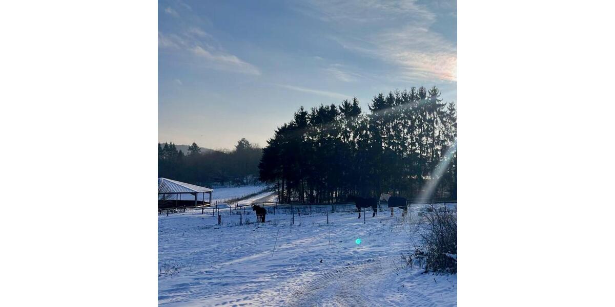 2-Zimmer Wohnung Aussiedlerhof Bauernhof 2 zimmer